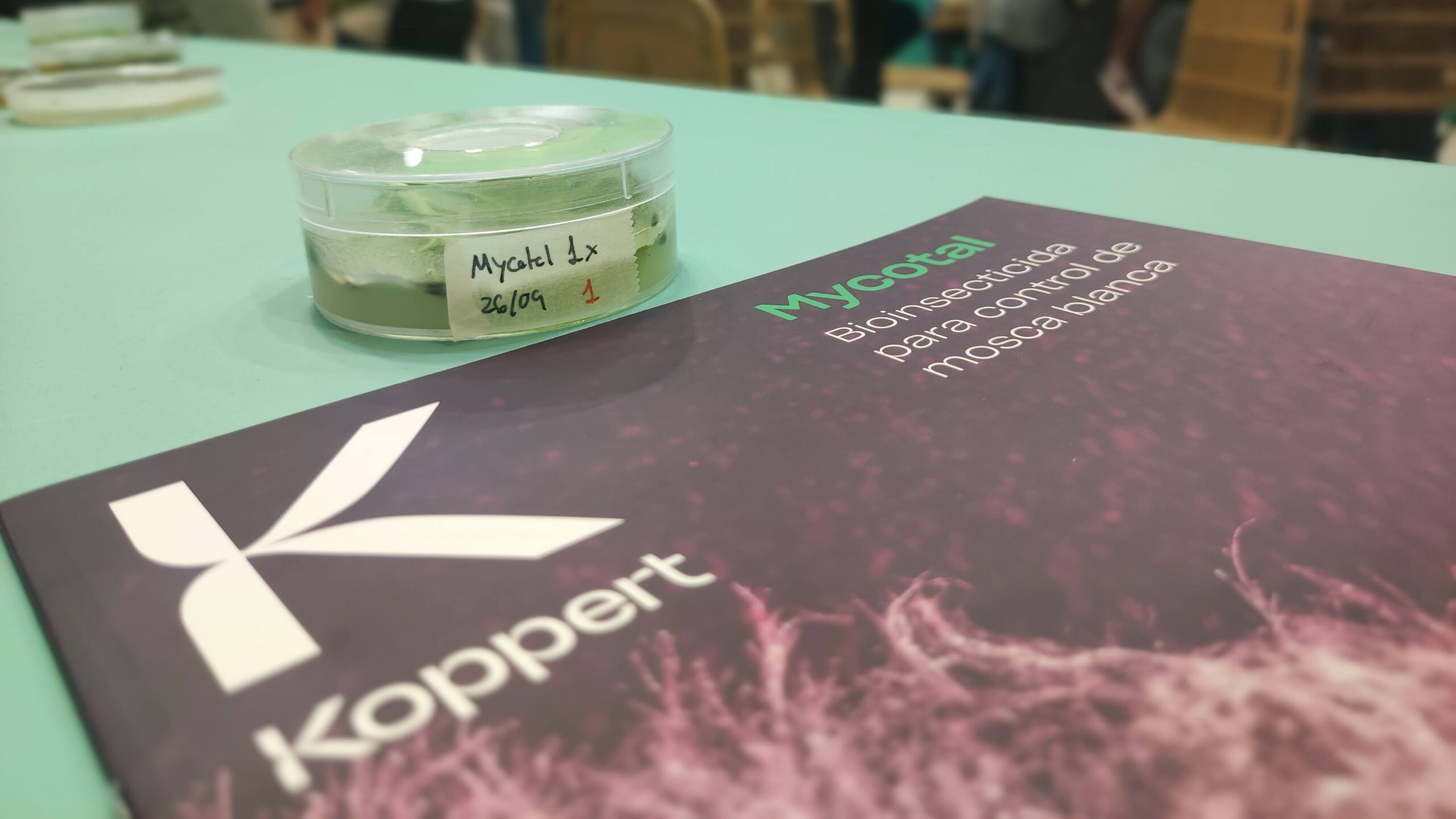 koppert|Koppert a José Miguel Fernández Tapia|koppert|koppert